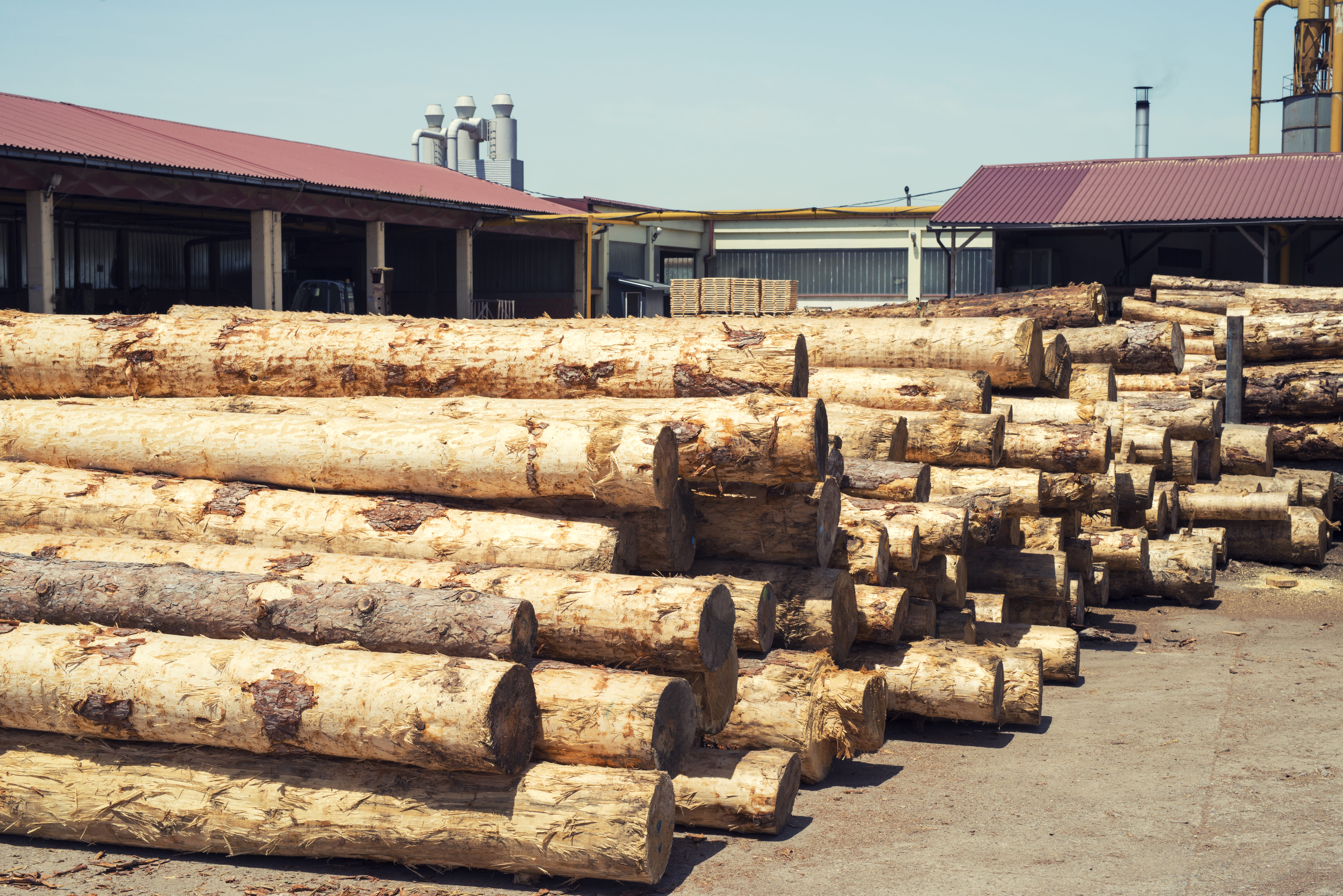 Sustainable timber production