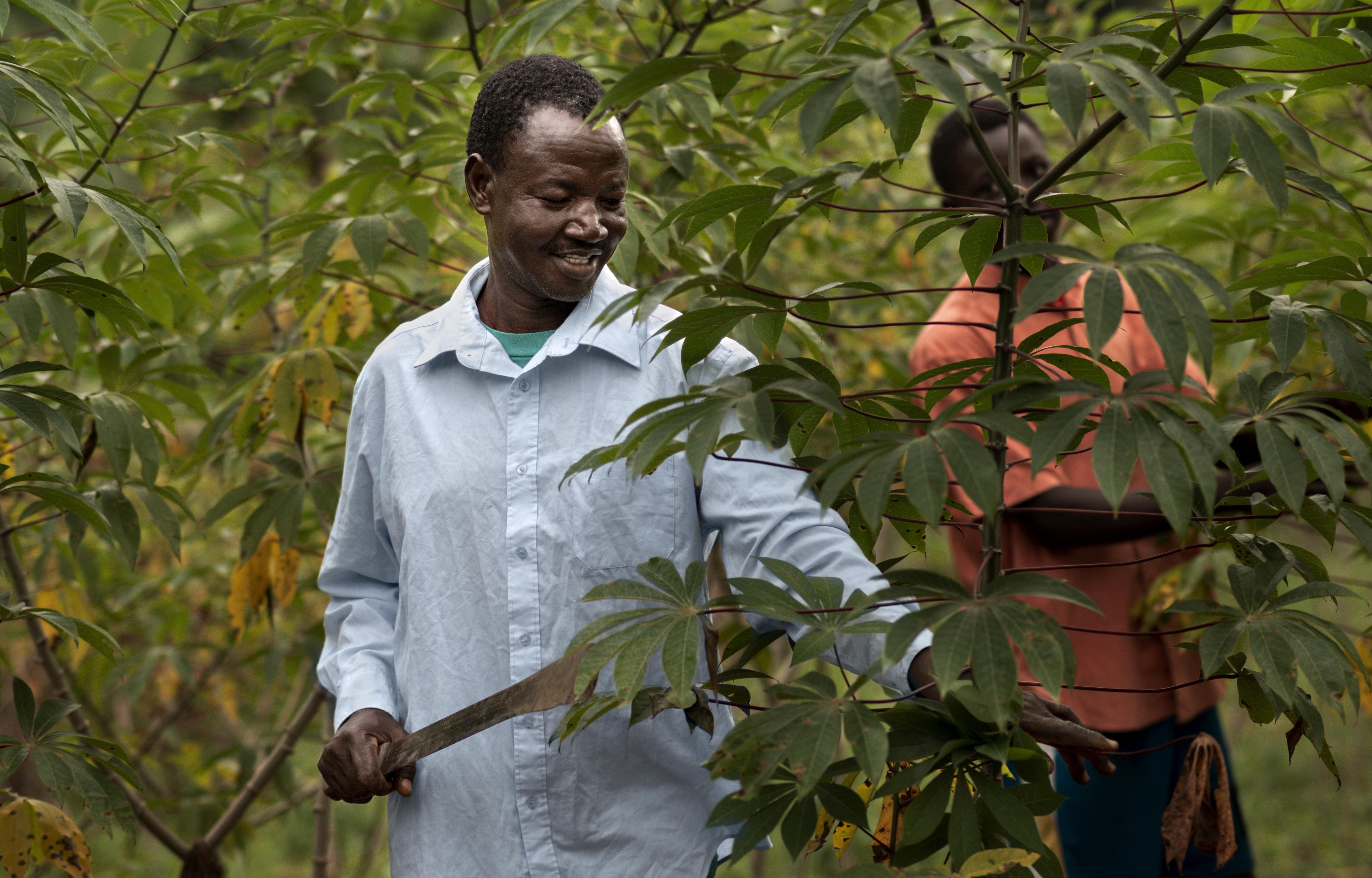 Community empowerment